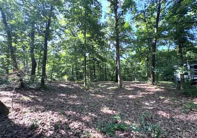 Photo 4 of Land for sale at 43121 Deerview Trail, Monroe City, MO 63456 | MLS# MIS26049109 | Listing updated on 2026-08-12
