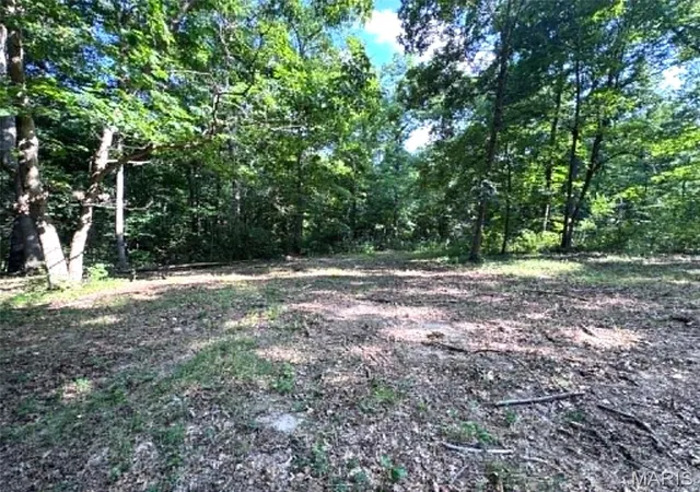 Photo 5 of Land for sale at 43121 Deerview Trail, Monroe City, MO 63456 | MLS# MIS26049109 | Listing updated on 2026-08-12