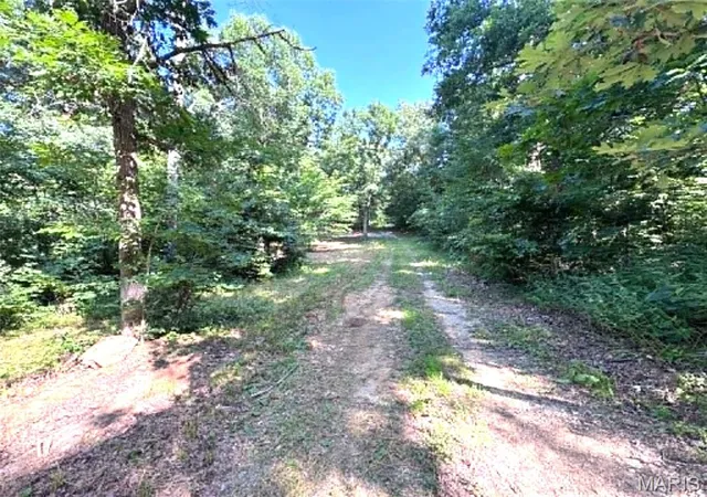 Photo 6 of Land for sale at 43121 Deerview Trail, Monroe City, MO 63456 | MLS# MIS26049109 | Listing updated on 2026-08-12