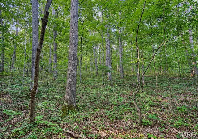 44th image of 7515 North Dr, Festus, MO 63028 | MLS# MIS26049166