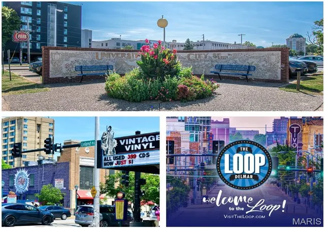 Photo 99 of Sale Pending at 710 Leland Ave, Saint Louis, MO 63130 | MLS# MIS26049261 | Listing updated on 2026-10-07