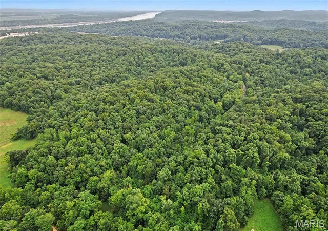 5th image of 0 County Road 535, Jackson, MO 63755 | MLS# MIS26049315