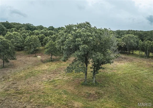2nd image of Tract 2 Hwy 19, Steelville, MO 65565 | MLS# MIS26049325