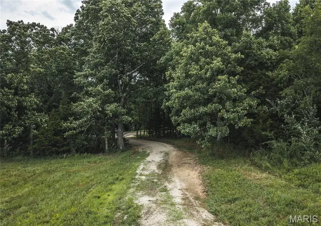 3rd image of Tract 2 Hwy 19, Steelville, MO 65565 | MLS# MIS26049325