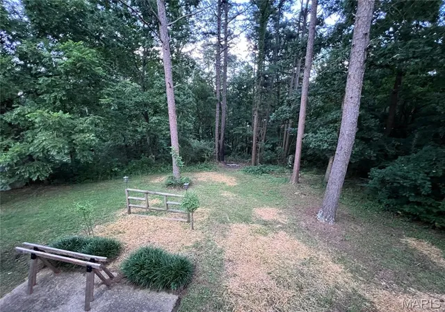 31st image of 490 Skyview Dr, Ellington, MO 63638 | MLS# MIS26049413