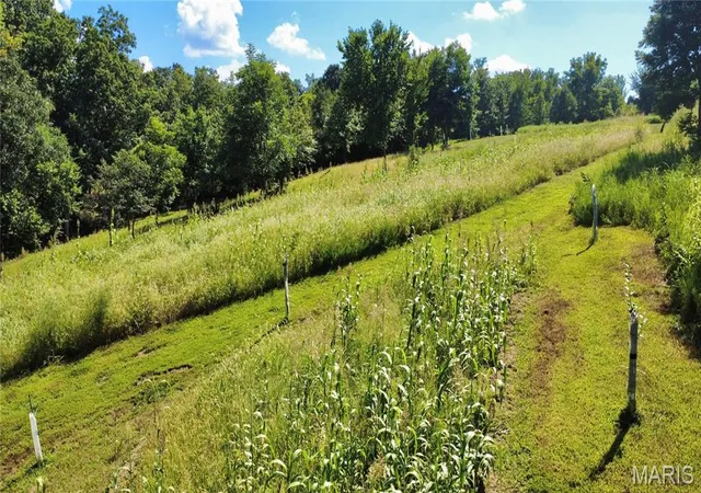 99th image of 3079 Stonebridge Pl, Festus, MO 63028 | MLS# MIS26049430