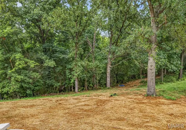 5th image of 1527 Koch Lsne, De Soto, MO 63020 | MLS# MIS26049431