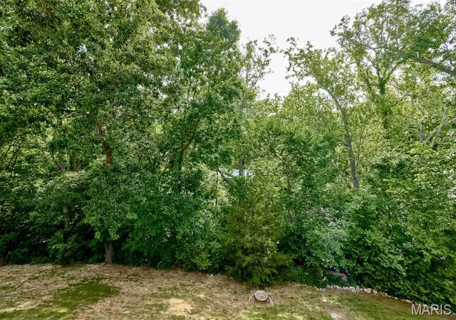 45th image of 9852 Sand Castle Dr, Pevely, MO 63070 | MLS# MIS26049487