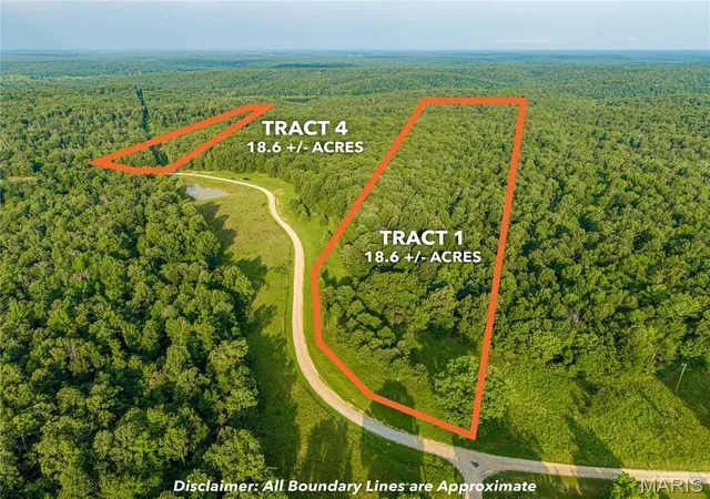 Land for sale at 001 Bb Hwy, Fairdealing, MO 63945 | MLS# MIS26049501