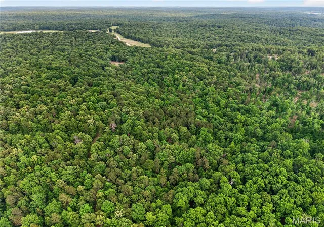 Photo 3 of Land for sale at 004 Bb Hwy, Fairdealing, MO 63945 | MLS# MIS26049548 | Listing updated on 2026-09-30