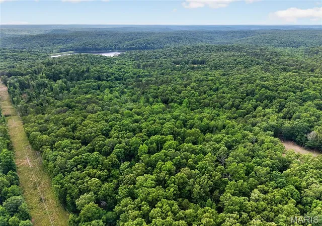 Photo 3 of Land for sale at 004 Bb Hwy, Fairdealing, MO 63945 | MLS# MIS26049548 | Listing updated on 2026-09-30