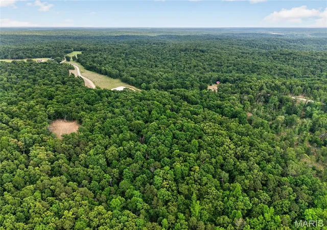 4th image of 004 Bb Hwy, Fairdealing, MO 63945 | MLS# MIS26049548