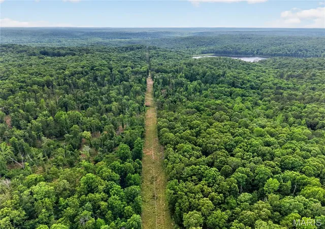 5th image of 004 Bb Hwy, Fairdealing, MO 63945 | MLS# MIS26049548