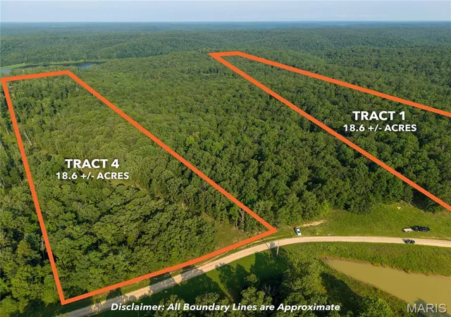 Land for sale at 004 Bb Hwy, Fairdealing, MO 63945 | MLS# MIS26049548