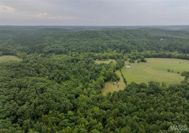 59th image of 11717 Harmon Rd, Potosi, MO 63664 | MLS# MIS26049568