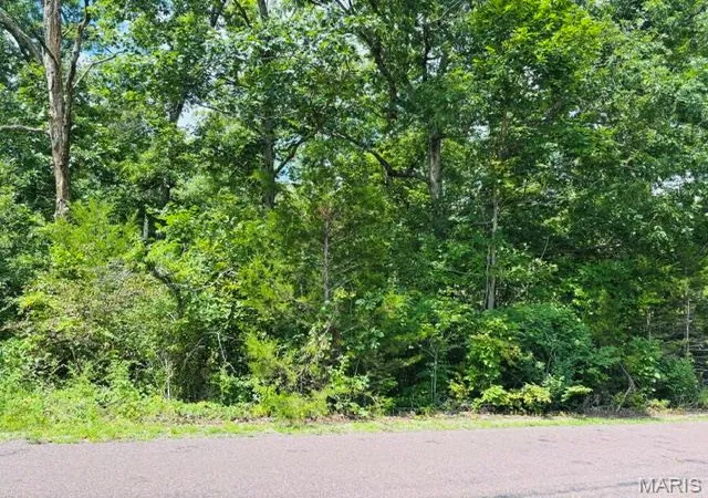 2nd image of 2045 Lakeshore Dr, Cuba, MO 65453 | MLS# MIS26049580