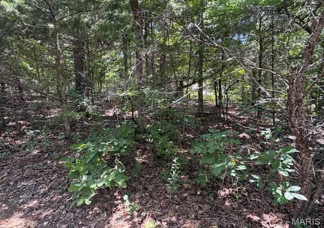 2nd image of 61 Sumter Dr, Hillsboro, MO 63050 | MLS# MIS26049629