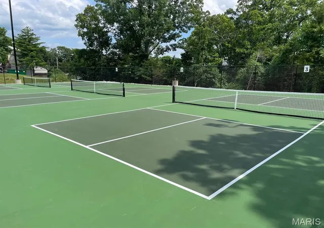 41st image of 61 Sumter Dr, Hillsboro, MO 63050 | MLS# MIS26049629