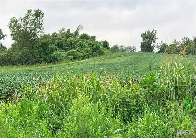 4th image of 0 Hwy C, Perryville, MO 63775 | MLS# MIS26049690