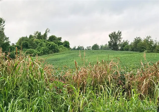5th image of 0 Hwy C, Perryville, MO 63775 | MLS# MIS26049690