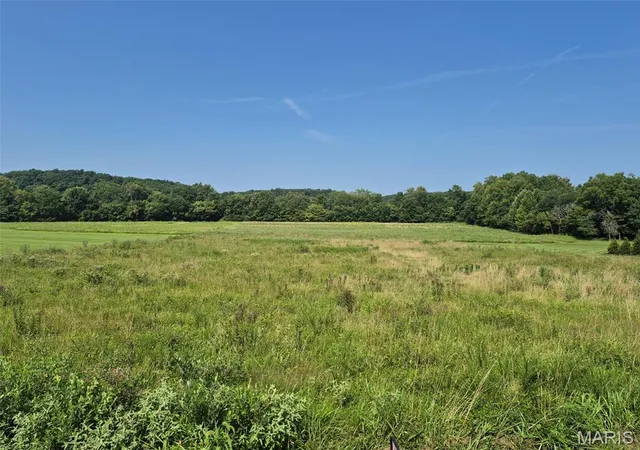 1st image of 225 Valley View (lot 29) Dr, Hawk Point, MO 63349 | MLS# MIS26049813