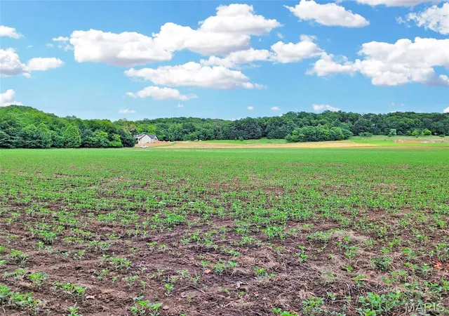 2nd image of 225 Valley View (lot 29) Dr, Hawk Point, MO 63349 | MLS# MIS26049813