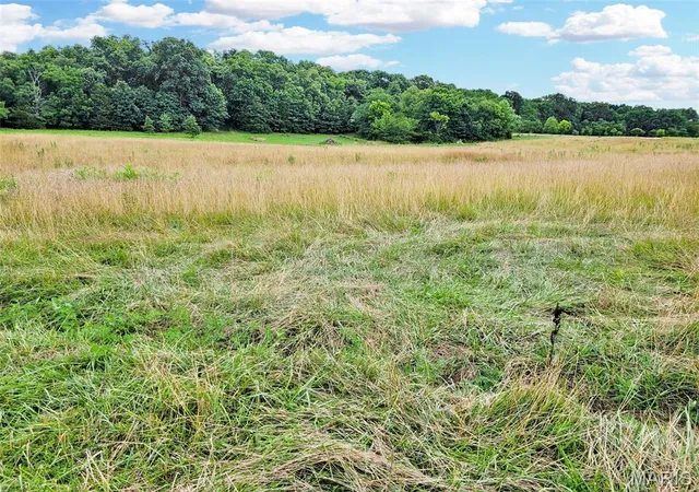 Photo 3 of Land for sale at 225 Valley View (lot 29) Dr, Hawk Point, MO 63349 | MLS# MIS26049813 | Listing updated on 2026-08-13