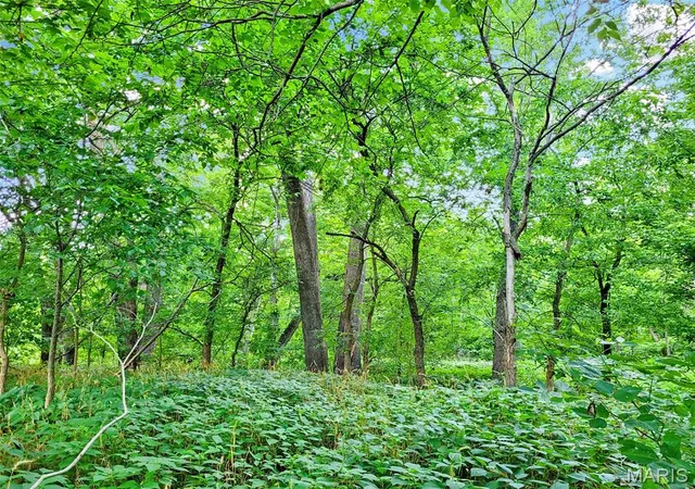 Photo 4 of Land for sale at 225 Valley View (Lot 29) Dr, Hawk Point, MO 63349 | MLS# MIS26049813 | Listing updated on 2026-08-13