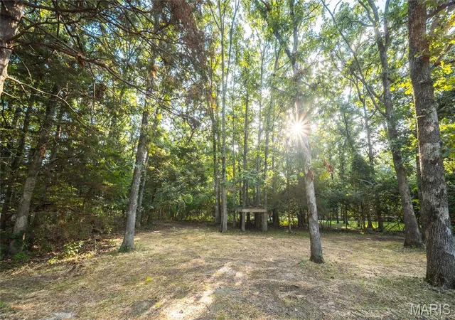 46th image of 807 Lariat Ln, Rolla, MO 65401 | MLS# MIS26049816
