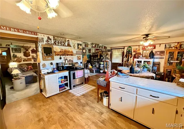 3rd image of 670 County Road 4220, Salem, MO 65560 | MLS# MIS26049885