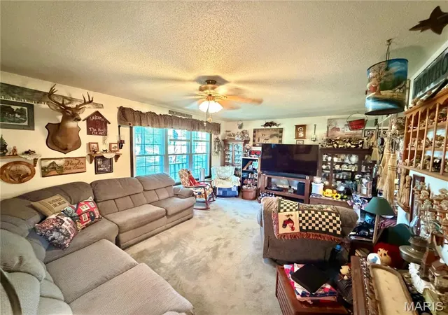 5th image of 670 County Road 4220, Salem, MO 65560 | MLS# MIS26049885