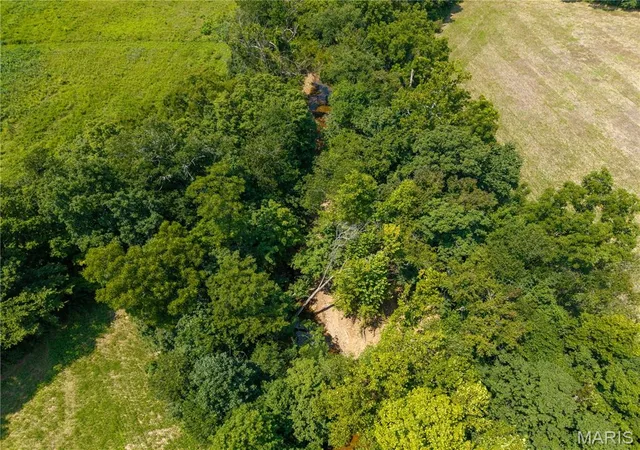 Photo 4 of Sale Pending at 0 Bcr 418, Marble Hill, MO 63764 | MLS# MIS26049913 | Listing updated on 2026-08-28