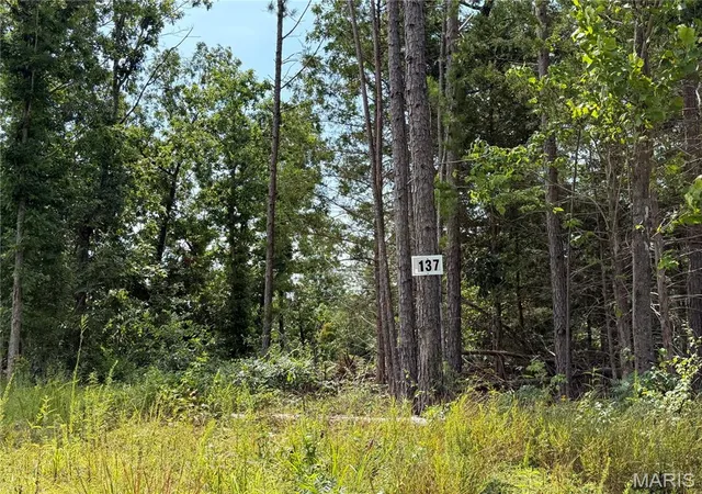 1st image of #137 Madison 410, Fredericktown, MO 63645 | MLS# MIS26049931