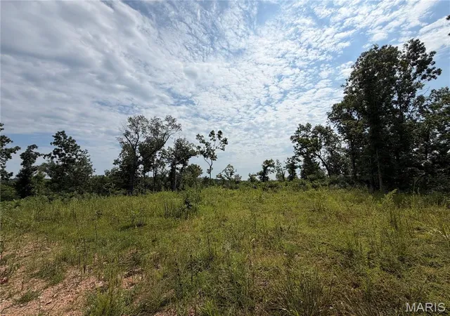 2nd image of #137 Madison 410, Fredericktown, MO 63645 | MLS# MIS26049931