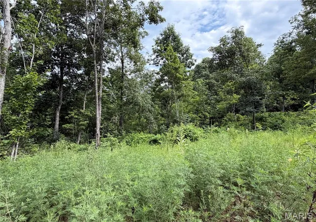2nd image of #401 Madison 410, Fredericktown, MO 63645 | MLS# MIS26049936