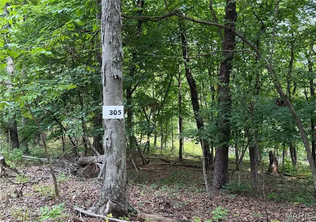 1st image of #305 Madison 410, Fredericktown, MO 63645 | MLS# MIS26049941