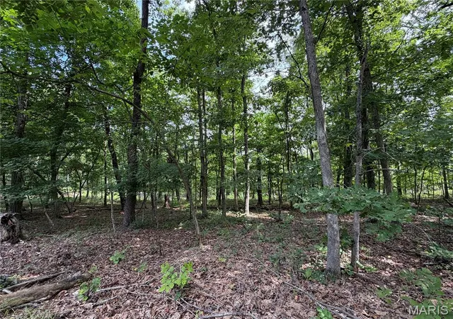 2nd image of #305 Madison 410, Fredericktown, MO 63645 | MLS# MIS26049941