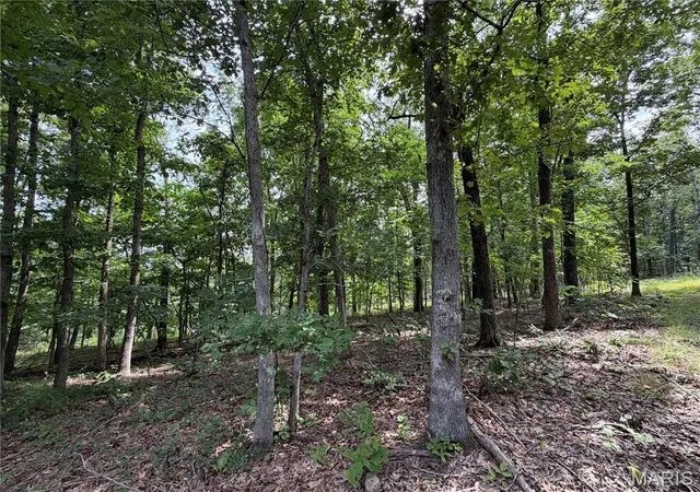3rd image of #305 Madison 410, Fredericktown, MO 63645 | MLS# MIS26049941