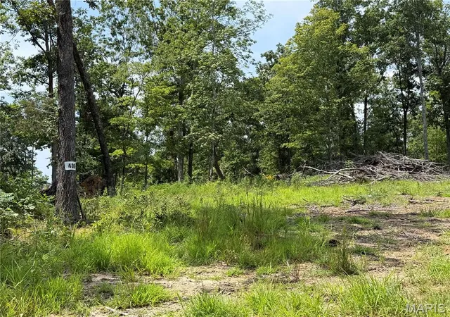 1st image of #406 Madison 410, Fredericktown, MO 63645 | MLS# MIS26049947