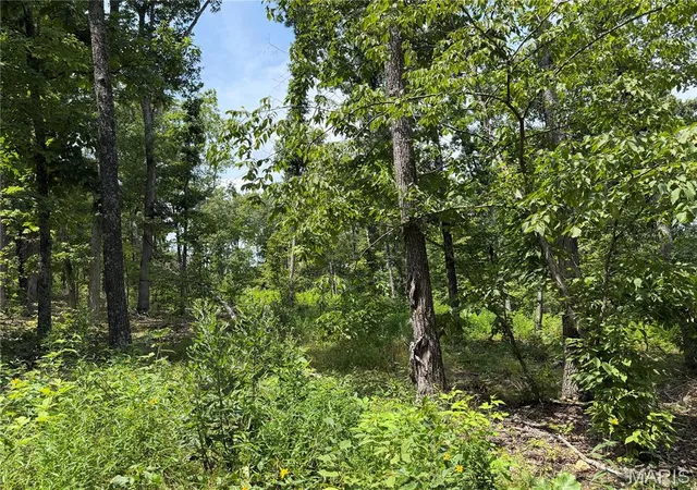 Photo 3 of Land for sale at #406 Madison 410, Fredericktown, MO 63645 | MLS# MIS26049947 | Listing updated on 2026-08-05