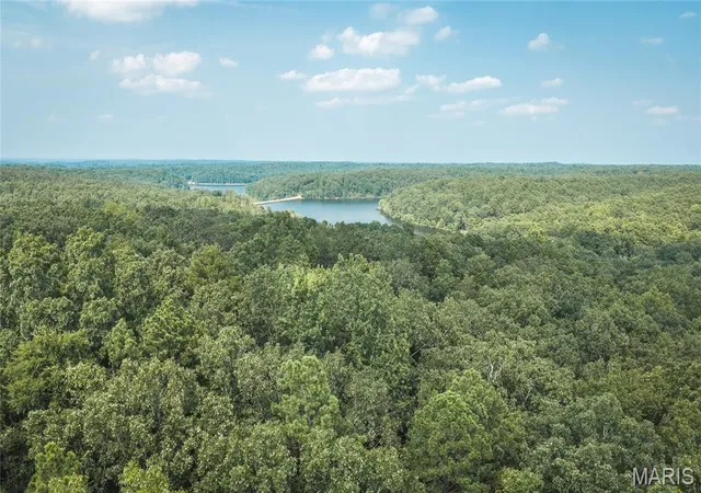 2nd image of 000 County Road 503, Lowndes, MO 63951 | MLS# MIS26049956