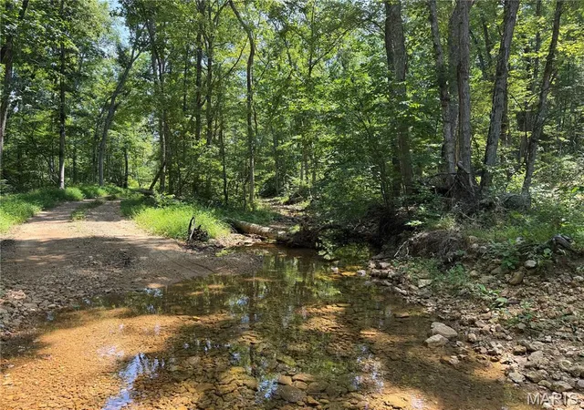 1st image of #405 Madison 410, Fredericktown, MO 63645 | MLS# MIS26049984