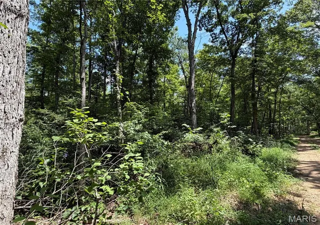 Photo 3 of Land for sale at #405 Madison 410, Fredericktown, MO 63645 | MLS# MIS26049984 | Listing updated on 2026-08-05