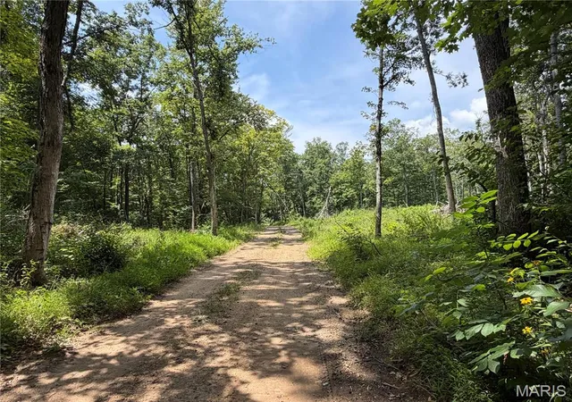 4th image of #405 Madison 410, Fredericktown, MO 63645 | MLS# MIS26049984