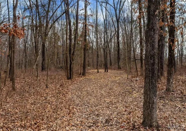 Photo 2 of Land for sale at 0 Duffs Ln, Hillsboro, IL 62049 | MLS# MIS26049991 | Listing updated on 2026-08-10