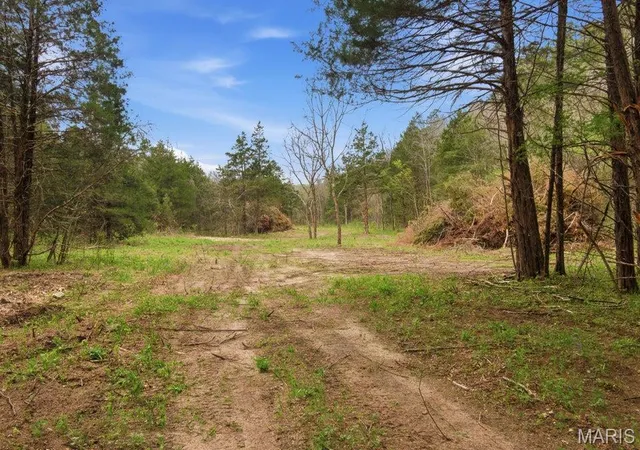 1st image of Tract3 W Hwy 32, Licking, MO 65542 | MLS# MIS26050034