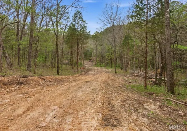 3rd image of Tract3 W Hwy 32, Licking, MO 65542 | MLS# MIS26050034