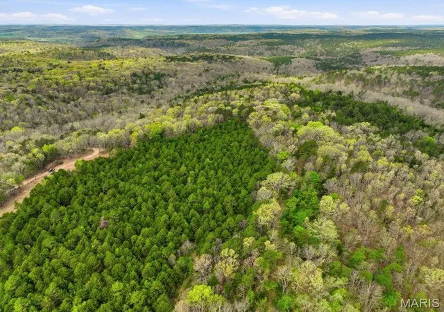 5th image of Tract3 W Hwy 32, Licking, MO 65542 | MLS# MIS26050034