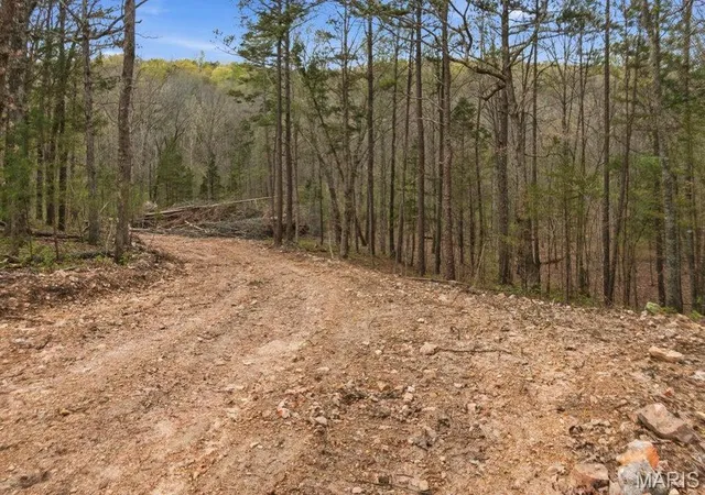 17th image of Tract 5 W Hwy 32, Licking, MO 65542 | MLS# MIS26050040