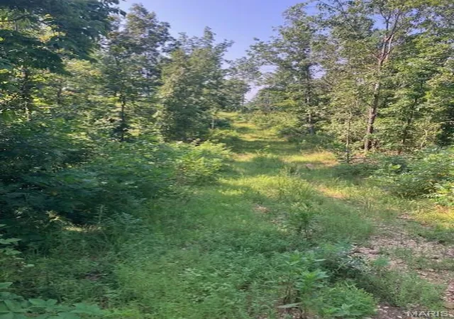 1st image of 281 Madison Cr 410, Fredericktown, MO 63645 | MLS# MIS26050126